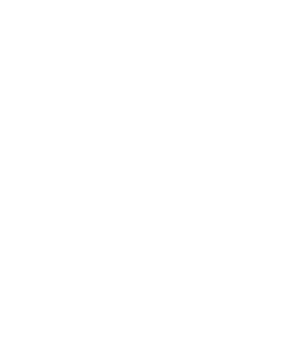 Polotno_3